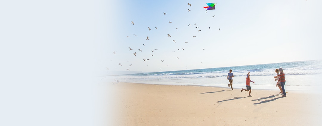 family-beach_kite_1700x600r