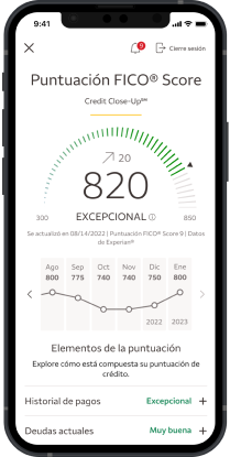 Imagen de la solicitud de Credit Close-Up donde se muestra un ejemplo de Puntuación FICO® Score de 820